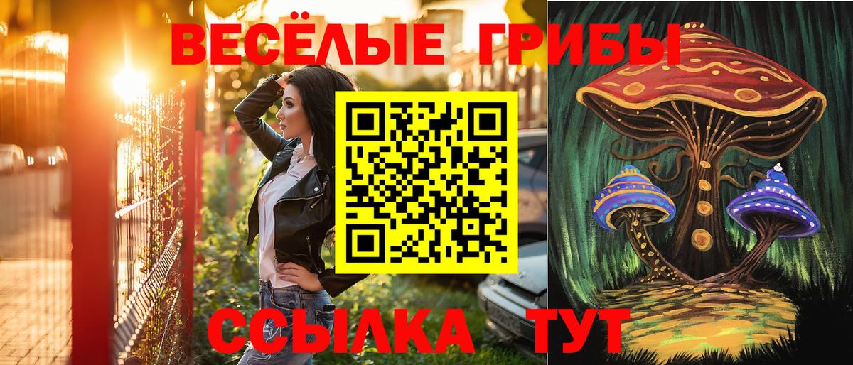 Галлюциногенные грибы Magic Shrooms  цена   Гатчина  Вход с VPN  Псилоцибиновые грибы Magic Shrooms 