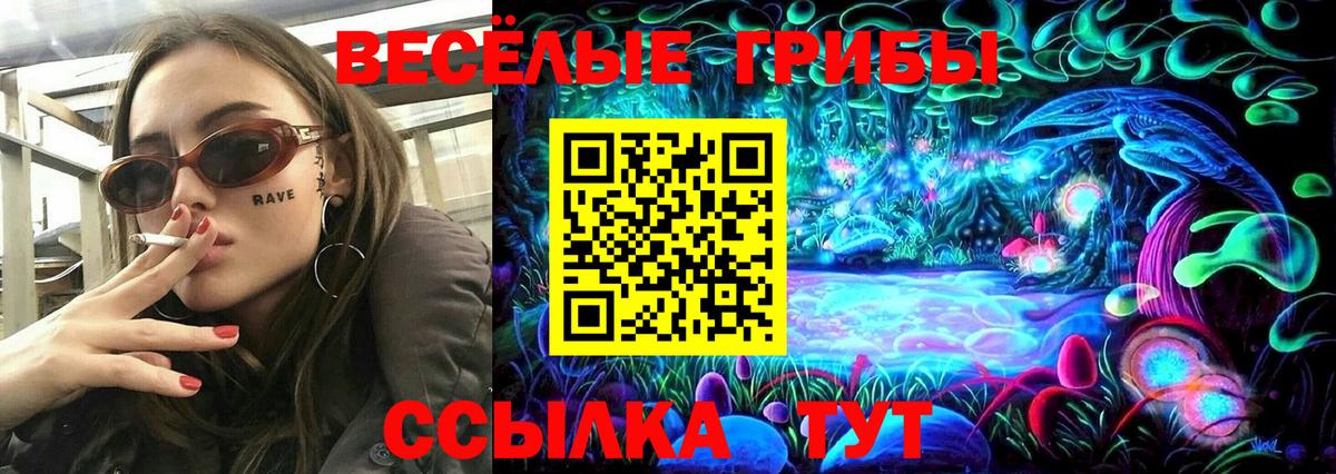 Псилоцибиновые грибы Cubensis Гатчина
